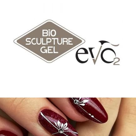 Partenaire Bio Sculpture Evo2