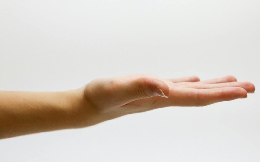 Rentrée à l’institut Douce Renaissance